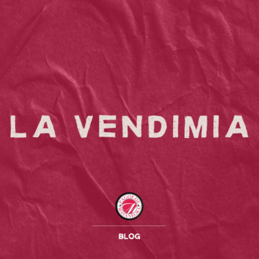 la vendimia en Olmedillo